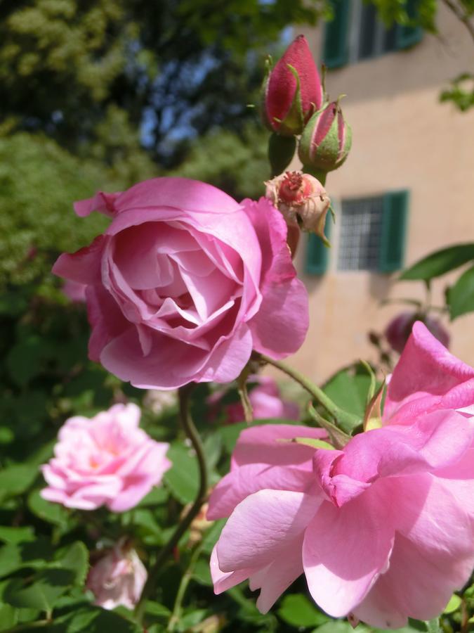 Villa Pacinotti Pistoia Esterno foto